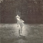 Sorry - Imaginary Friend (Vinyl)