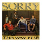 Sorry - The Way It Is (Vinyl)