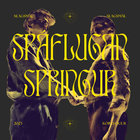 Spáflugan Springur