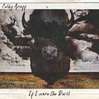 Colby Acuff - If I Were The Devil