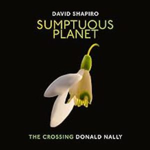 Shapiro: Sumptuous Planet