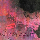 Windflower - Dreams (Vinyl)
