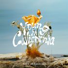 Paco Versailles - Young In California (CDS)