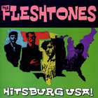 The Fleshtones - Hitsburg USA!