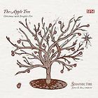 Seraphic Fire - Quigley: The Apple Tree - Christmas with Seraphic Fire