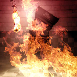 Die In A Fire (CDS)
