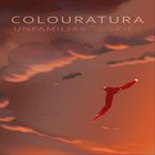 Unfamiliar Skies