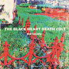 The Black Heart Death Cult - Pin Drops