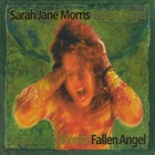 Sarah Jane Morris - Fallen Angel