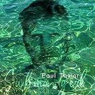 Paul Taylor - Submerged