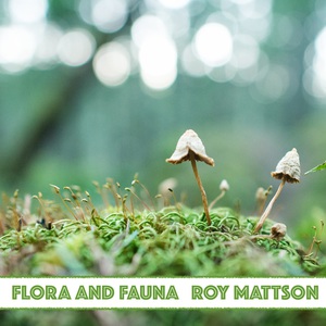 Flora And Fauna