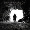 Dhani Harrison - Innerstanding
