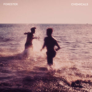 Chemicals (CDS)