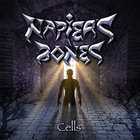 Napier's Bones - Cells