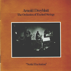 Arnold Dreyblatt - Nodal Excitation (Vinyl)