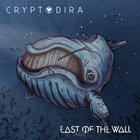 Cryptodira / East Of The Wall (Split) (CDS)