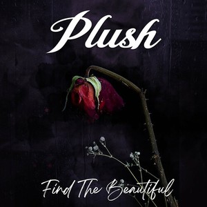 Find The Beautiful (EP)