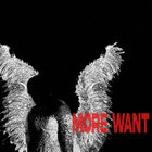 Banks Arcade - More Want (CDS)