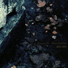 Aglaia - Leaves & Thunderstorms