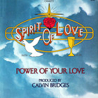 The Power Of Your Love (Vinyl)