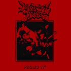 Worst Doubt - Promo '17
