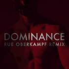 The Irrepressibles - Dominance (Rue Oberkampf Remix) (CDS)