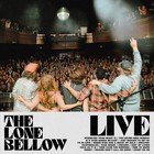 The Lone Bellow - Live