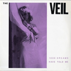1000 Dreams Have Told Me (Vinyl)