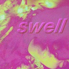 Animal Ghosts - Swell
