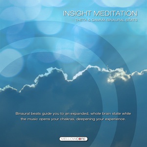 Insight Meditation