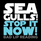 Bad Lip Reading - Seagulls! (Stop It Now!) (CDS)