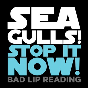 Seagulls! (Stop It Now!) (CDS)