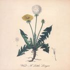 Snoh Aalegra - Wait A Little Longer (CDS)