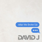 David J - After We Broke Up (CDS)