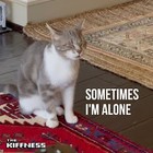 The Kiffness - Sometimes I'm Alone (Lonely Cat) (CDS)