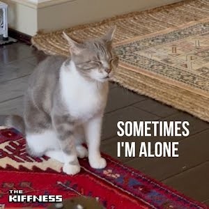 Sometimes I'm Alone (Lonely Cat) (CDS)