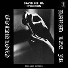 David Lee - Evolution