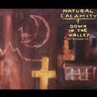 Natural Calamity - Down In The Valley (The Field Music Vol. 1)