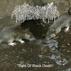 Rats Of Black Death