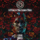 Fish - A Fish In The Lemon Tree CD1