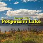 Teenage Dads - Potpourri Lake