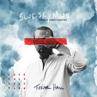 Trevor Hall - Blue Sky Mind (Extended Johnny Cosmic Mix) (CDS)