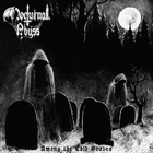 Nocturnal Abyss - Among The Cold Graves