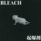 Bleach - Kibakuzai
