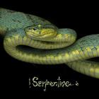 Serpentine (EP)