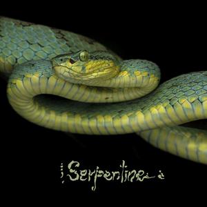 Serpentine (EP)