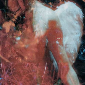 Stray (CDS)