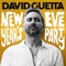 David Guetta - New Year's Eve Party