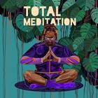 Total Meditation (With Kabir Sehgal)