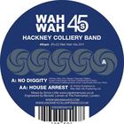 Hackney Colliery Band - No Diggity / House Arrest (VLS)
